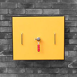Wall Holder for Mechanical Drain Covers