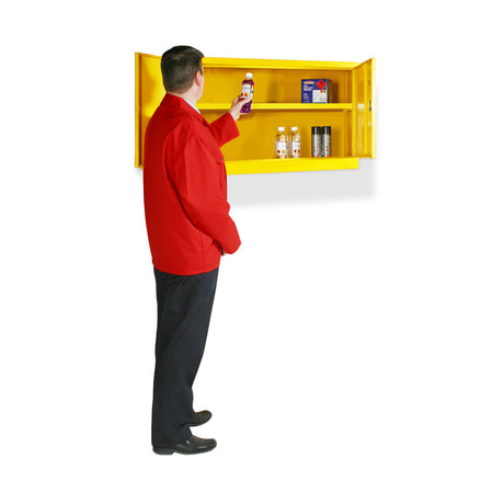 Dangerous Substance Wall Cabinet 610 x 915 x 381mm